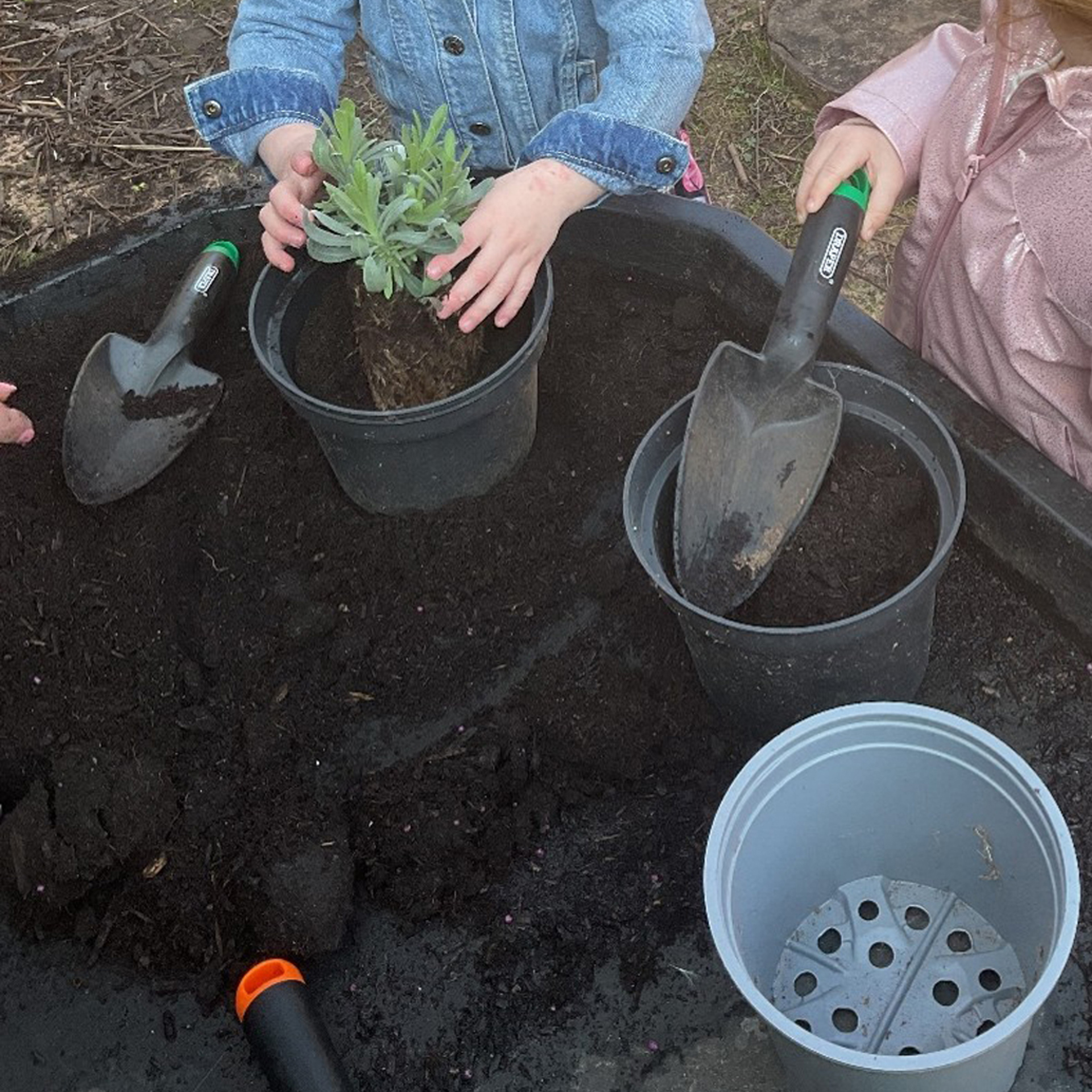 Children gardening