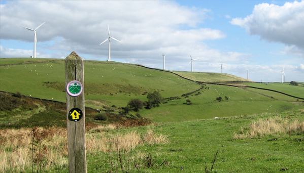 Waymarker on hillside 
