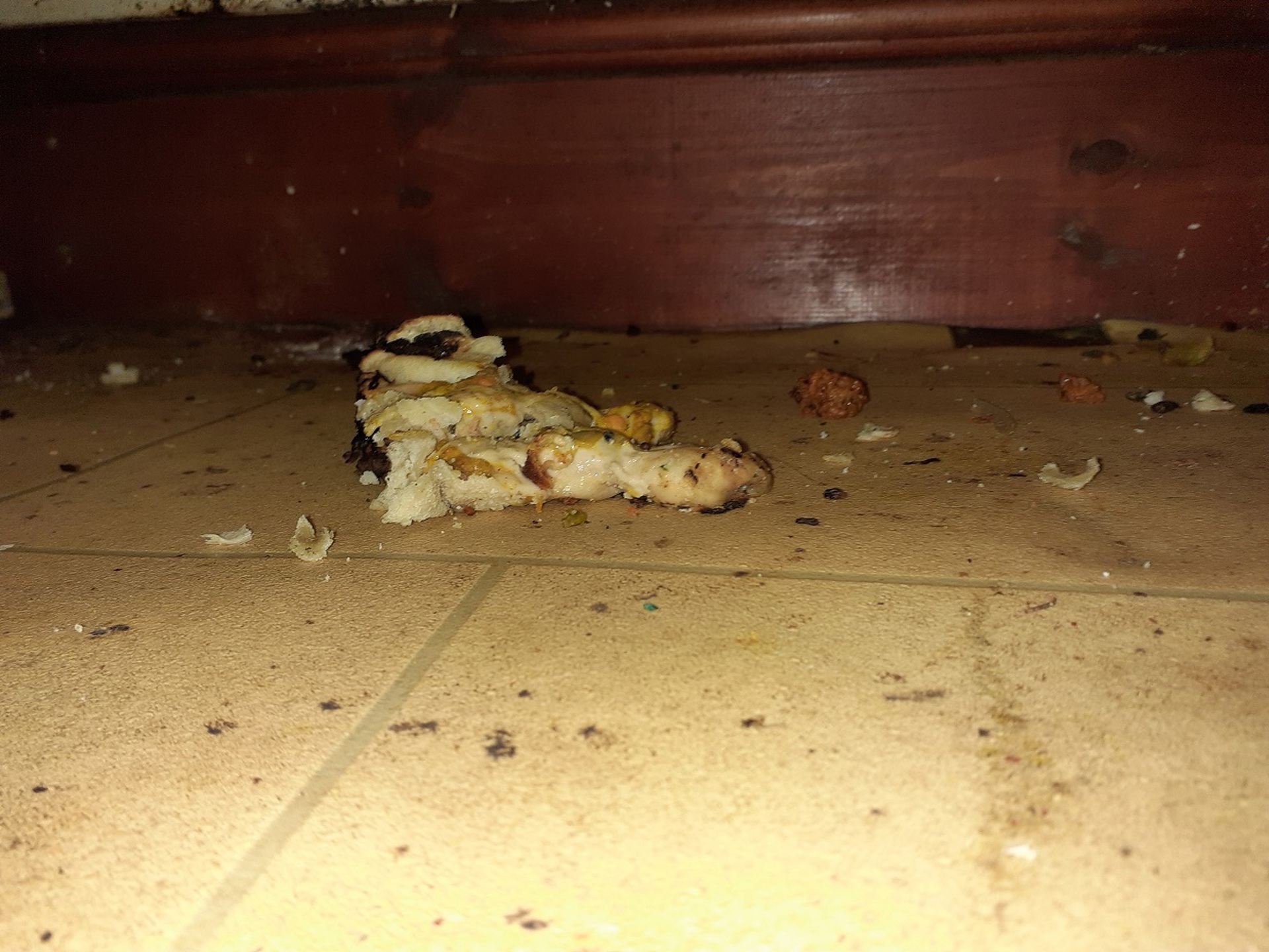 Mess at Swaddesh restaurant