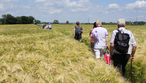 People walking through a public right of way field 