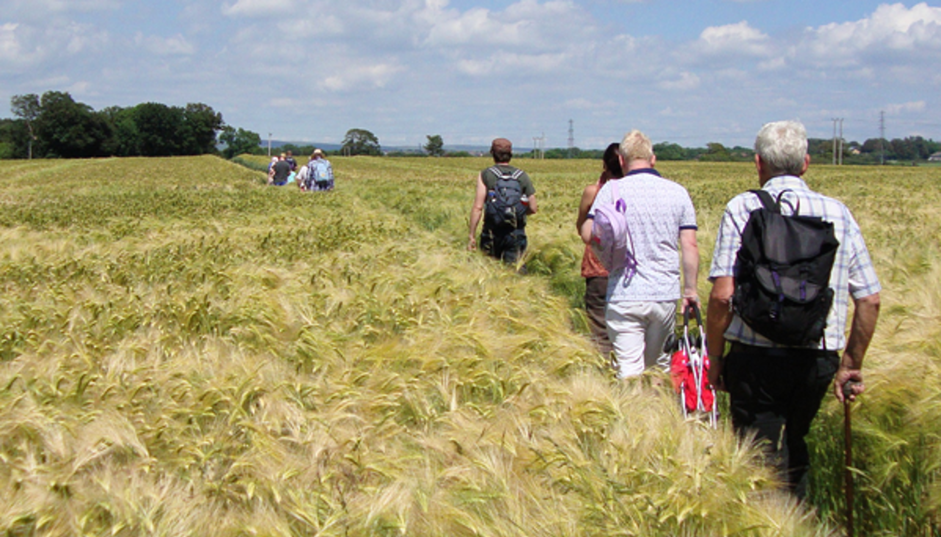 People using a public right of way through a field 