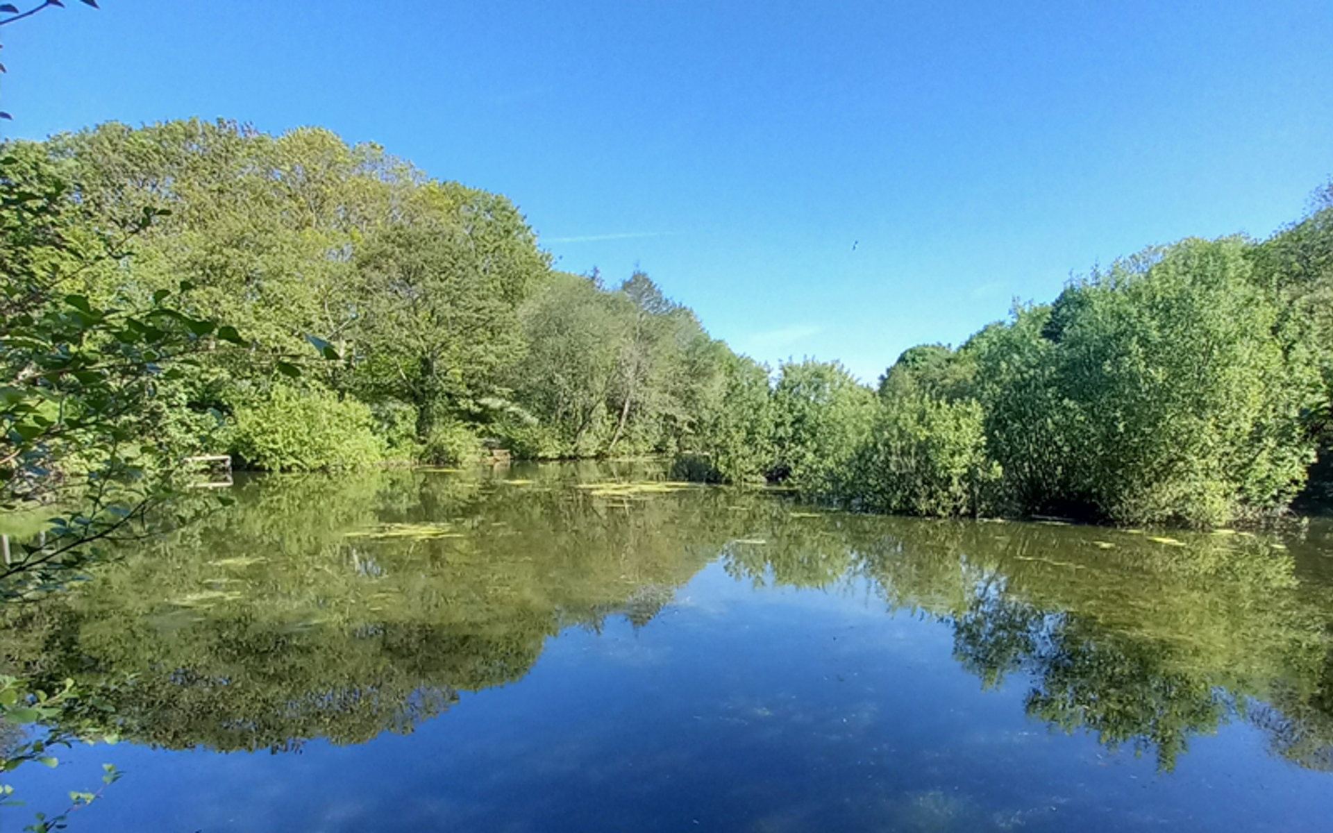 Wilderness Lake