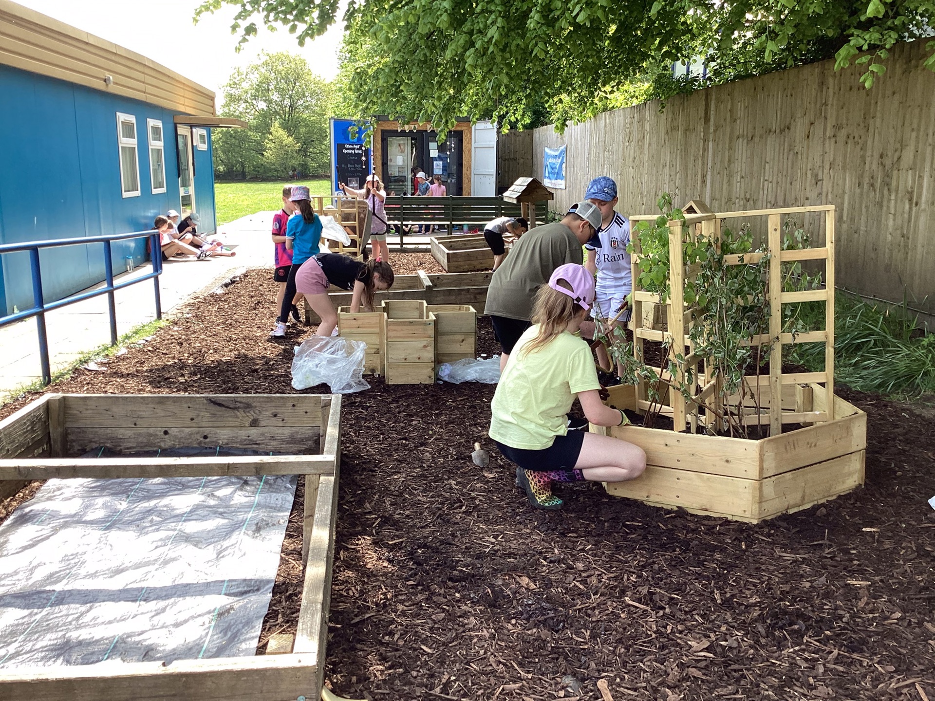 Cwmfelin Primary School community garden