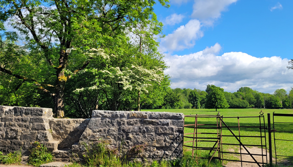 Stone stile and gate