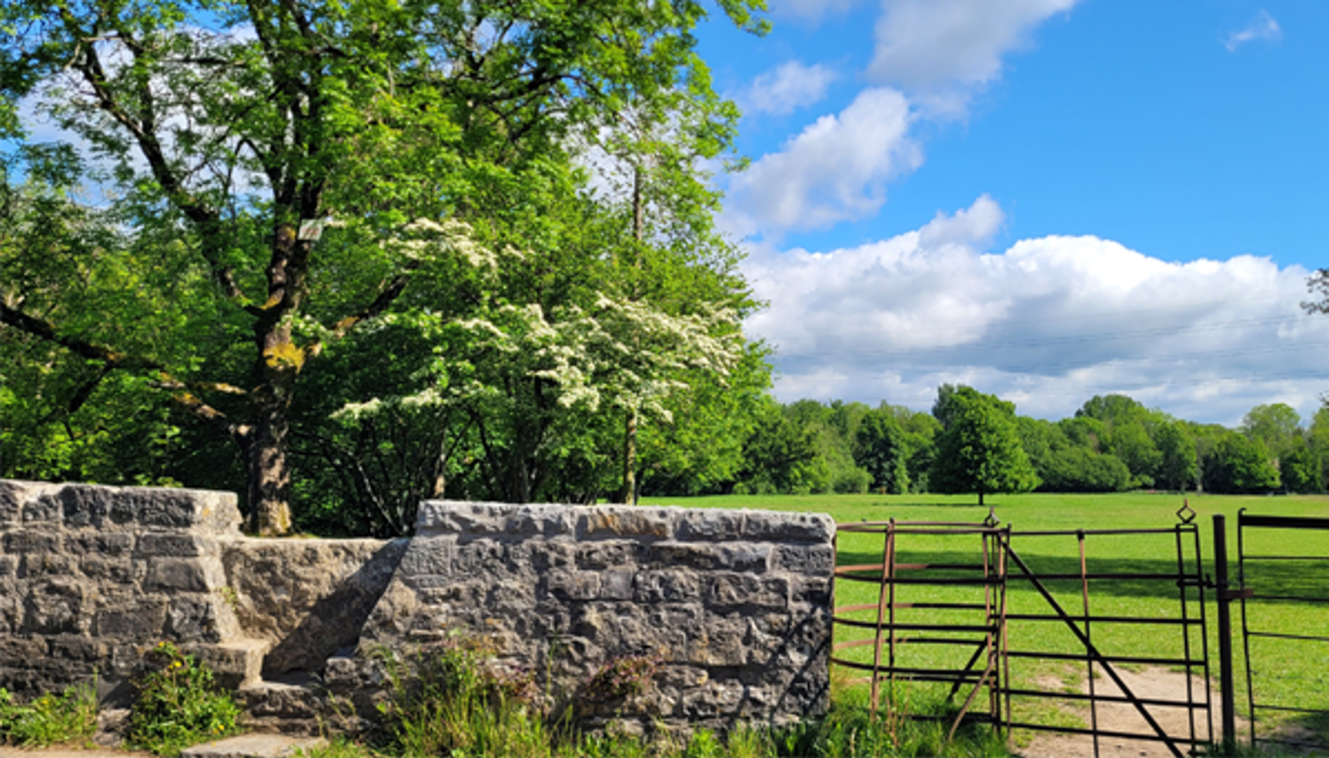 Stone stile and gate