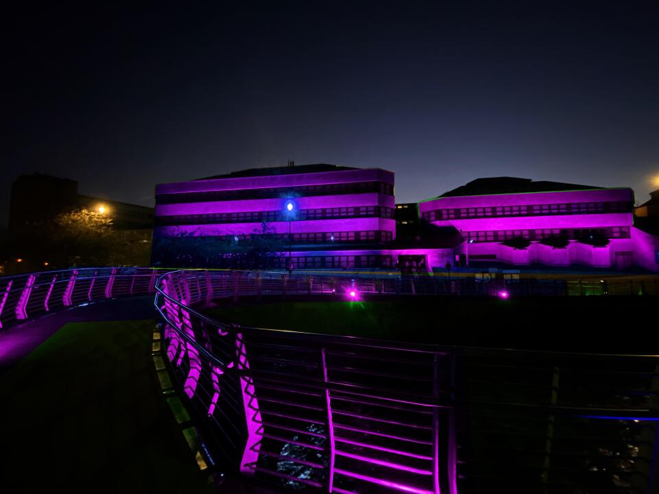 lighting the council building in purple as a mark of respect and remembrance