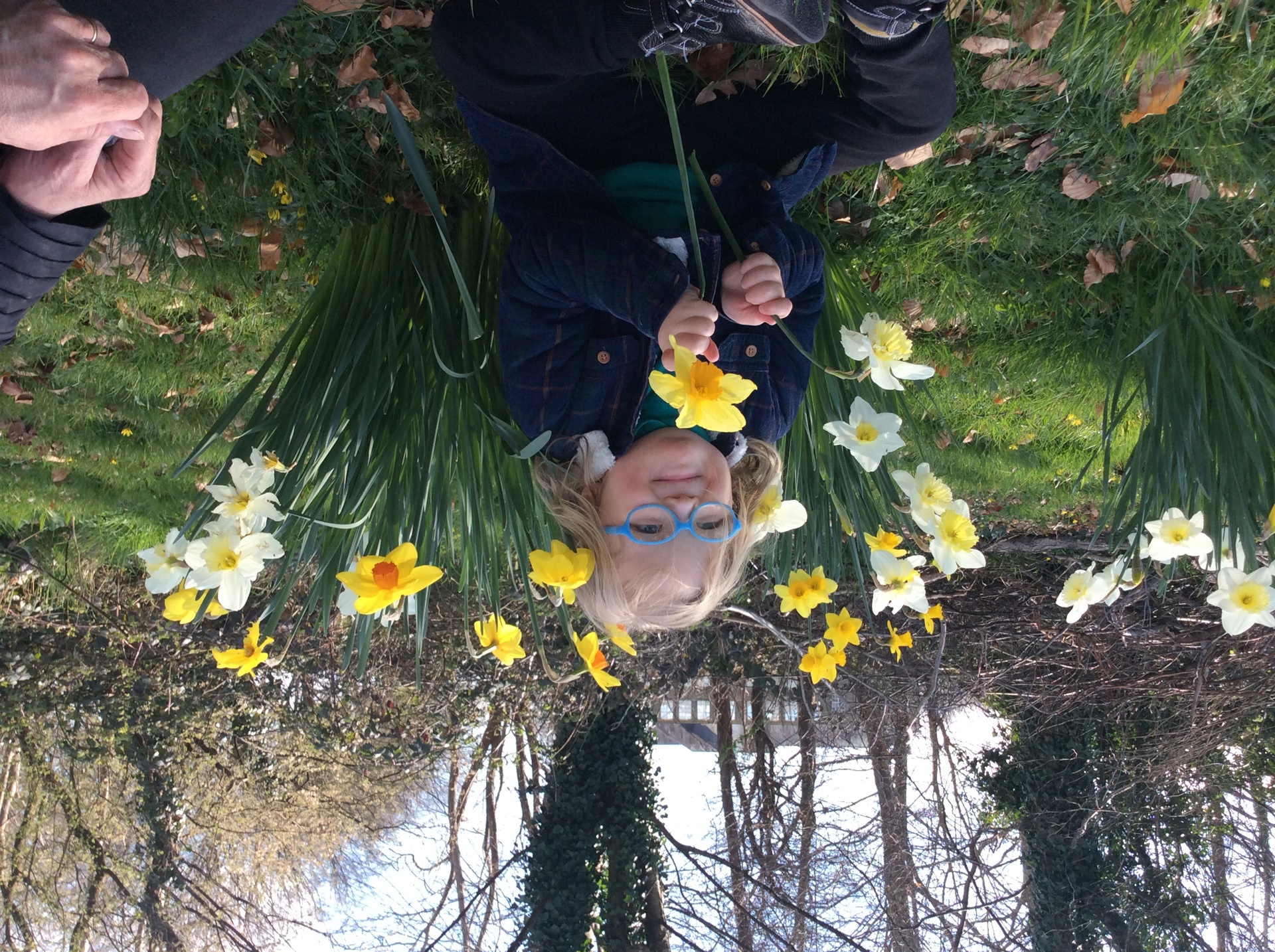 Heronsbridge pupil with daffodils